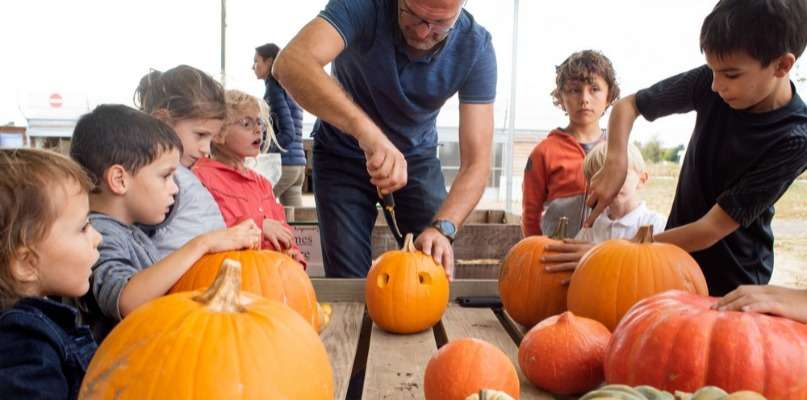 Courge Halloween