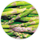 Cueillette de Fraisochamp asperges